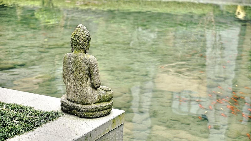 Qigong Meditation